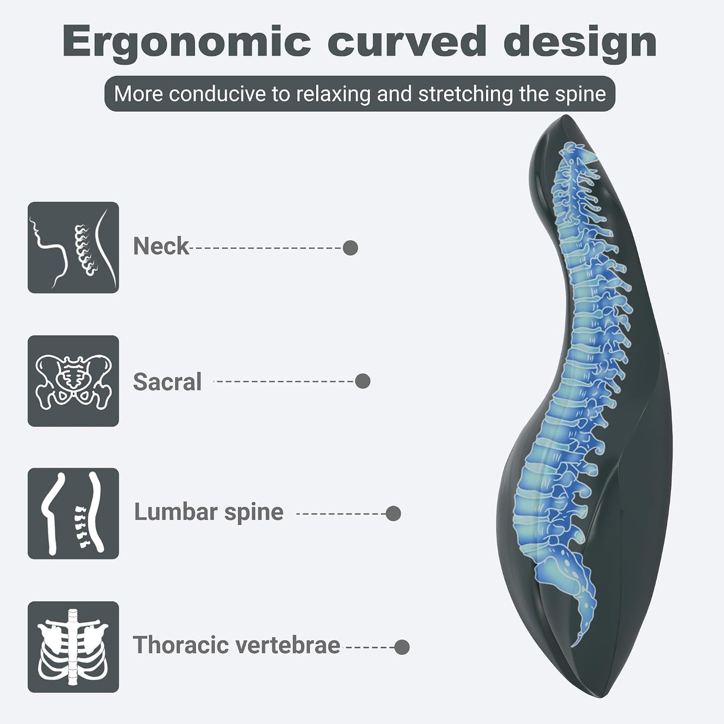 Spine Corrector Pilates,Dolphin-Shaped Oov Pilates Equipment for Home Studio Use,Fitness Training Tool for Spine Exercises, Balance, Core Strengthening